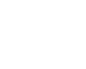 Nysse logo.