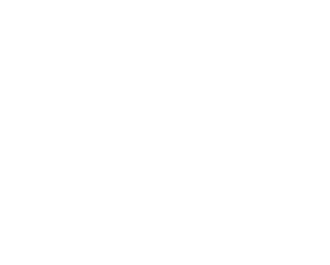 Turun kaupunki logo.
